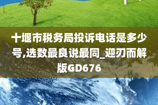 十堰市税务局投诉电话是多少号,选数最良说最同_迎刃而解版GD676