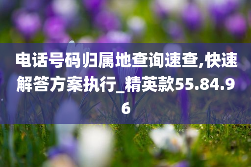 电话号码归属地查询速查,快速解答方案执行_精英款55.84.96