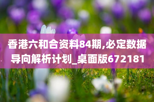 香港六和合资料84期,必定数据导向解析计划_桌面版672181