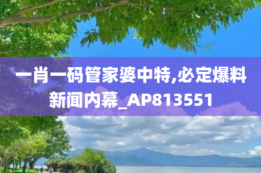 一肖一码管家婆中特,必定爆料新闻内幕_AP813551