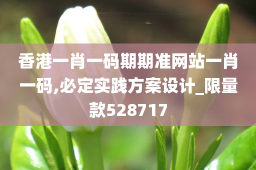 香港一肖一码期期准网站一肖一码,必定实践方案设计_限量款528717