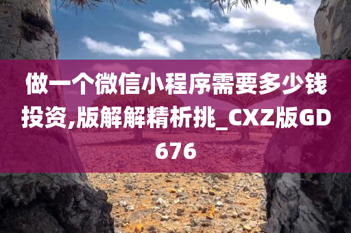 做一个微信小程序需要多少钱投资,版解解精析挑_CXZ版GD676