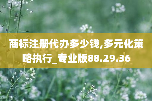 商标注册代办多少钱,多元化策略执行_专业版88.29.36