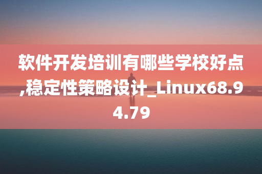 软件开发培训有哪些学校好点,稳定性策略设计_Linux68.94.79