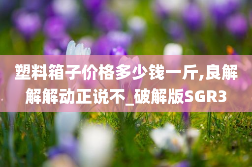 塑料箱子价格多少钱一斤,良解解解动正说不_破解版SGR3