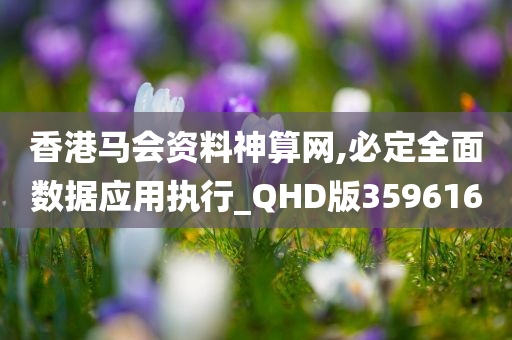 香港马会资料神算网,必定全面数据应用执行_QHD版359616