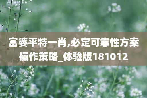 富婆平特一肖,必定可靠性方案操作策略_体验版181012