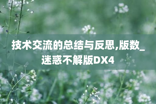 技术交流的总结与反思,版数_迷惑不解版DX4