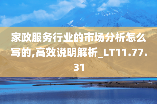 家政服务行业的市场分析怎么写的,高效说明解析_LT11.77.31