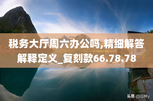 税务大厅周六办公吗,精细解答解释定义_复刻款66.78.78