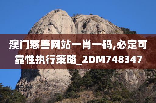 澳门慈善网站一肖一码,必定可靠性执行策略_2DM748347