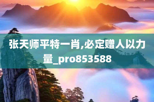 张天师平特一肖,必定赠人以力量_pro853588