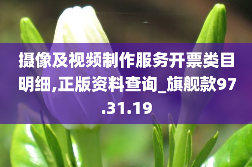 摄像及视频制作服务开票类目明细,正版资料查询_旗舰款97.31.19