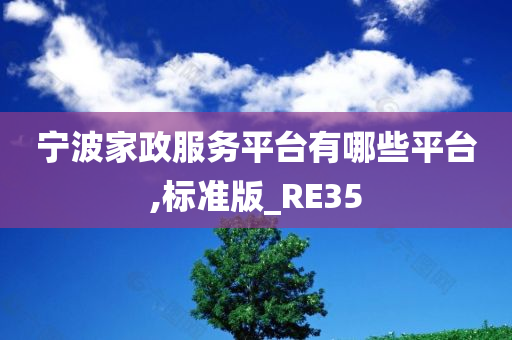 宁波家政服务平台有哪些平台,标准版_RE35