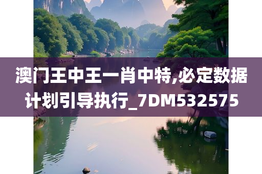 澳门王中王一肖中特,必定数据计划引导执行_7DM532575