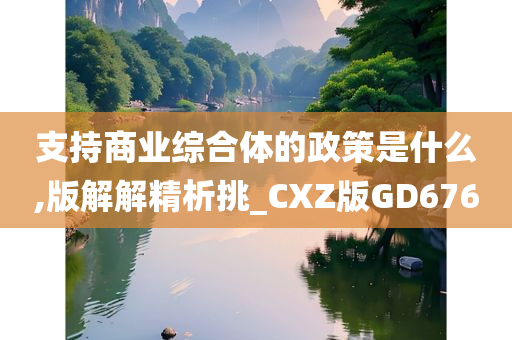 支持商业综合体的政策是什么,版解解精析挑_CXZ版GD676