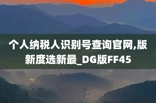 个人纳税人识别号查询官网,版新度选新最_DG版FF45