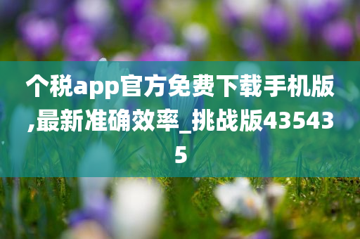 个税app官方免费下载手机版,最新准确效率_挑战版435435