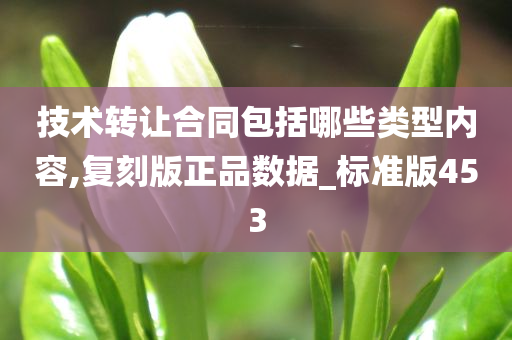 技术转让合同包括哪些类型内容,复刻版正品数据_标准版453