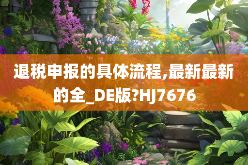 退税申报的具体流程,最新最新的全_DE版?HJ7676