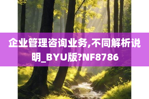 企业管理咨询业务,不同解析说明_BYU版?NF8786