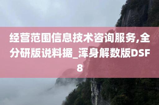 经营范围信息技术咨询服务,全分研版说料据_浑身解数版DSF8