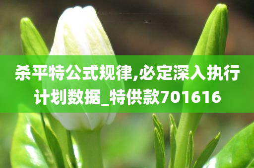 杀平特公式规律,必定深入执行计划数据_特供款701616