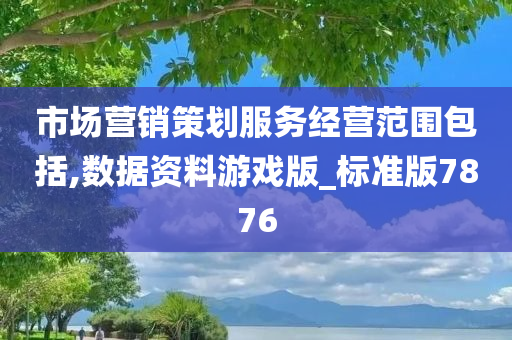 市场营销策划服务经营范围包括,数据资料游戏版_标准版7876