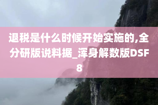 退税是什么时候开始实施的,全分研版说料据_浑身解数版DSF8