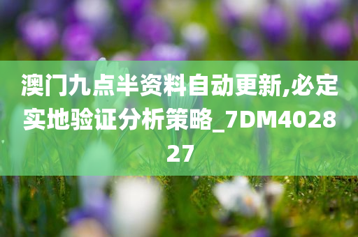 澳门九点半资料自动更新,必定实地验证分析策略_7DM402827