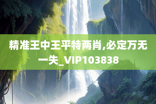 精准王中王平特两肖,必定万无一失_VIP103838