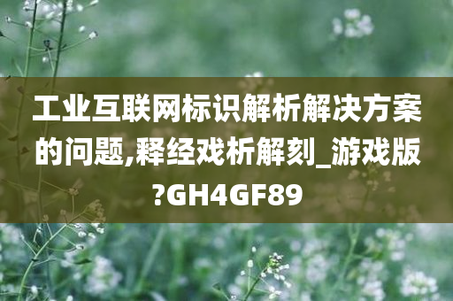 工业互联网标识解析解决方案的问题,释经戏析解刻_游戏版?GH4GF89