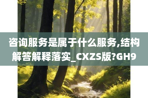 咨询服务是属于什么服务,结构解答解释落实_CXZS版?GH9