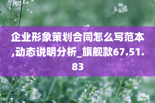 企业形象策划合同怎么写范本,动态说明分析_旗舰款67.51.83