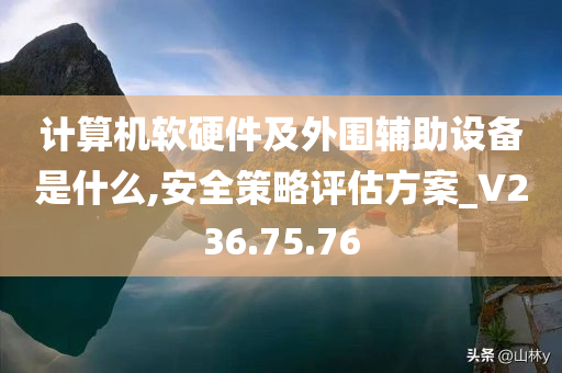 计算机软硬件及外围辅助设备是什么,安全策略评估方案_V236.75.76