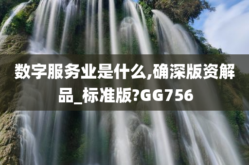 数字服务业是什么,确深版资解品_标准版?GG756