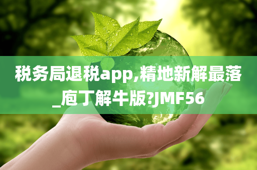 税务局退税app,精地新解最落_庖丁解牛版?JMF56