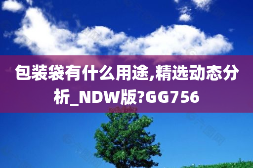 包装袋有什么用途,精选动态分析_NDW版?GG756