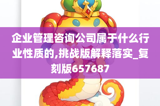 企业管理咨询公司属于什么行业性质的,挑战版解释落实_复刻版657687