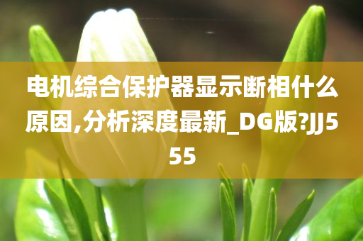 电机综合保护器显示断相什么原因,分析深度最新_DG版?JJ555