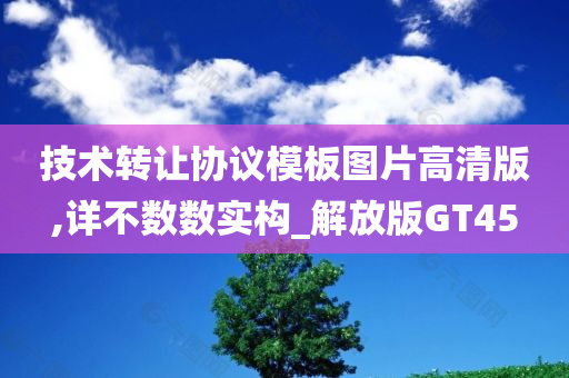 技术转让协议模板图片高清版,详不数数实构_解放版GT45