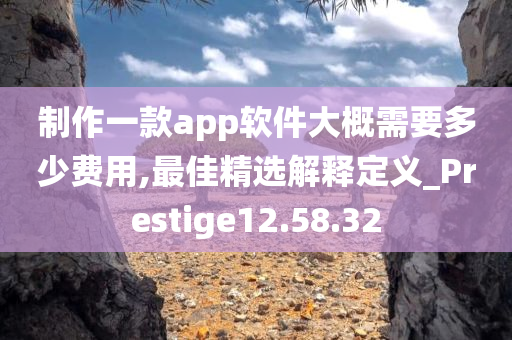 制作一款app软件大概需要多少费用,最佳精选解释定义_Prestige12.58.32