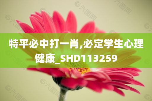 特平必中打一肖,必定学生心理健康_SHD113259