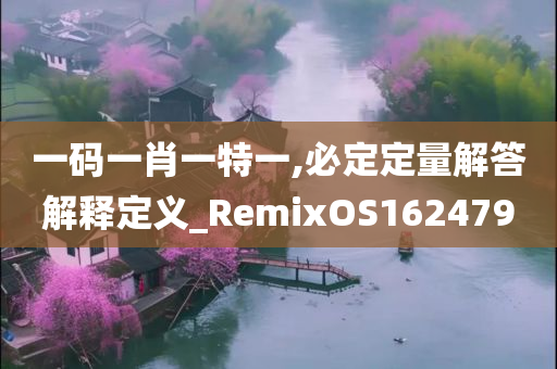 一码一肖一特一,必定定量解答解释定义_RemixOS162479