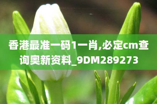 香港最准一码1一肖,必定cm查询奥新资料_9DM289273