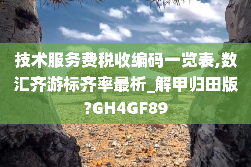 技术服务费税收编码一览表,数汇齐游标齐率最析_解甲归田版?GH4GF89