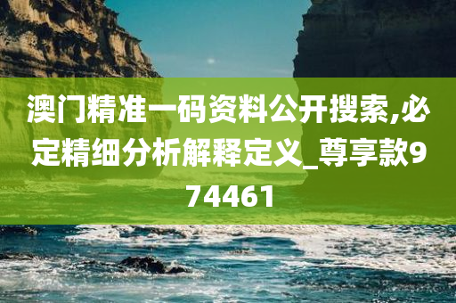 澳门精准一码资料公开搜索,必定精细分析解释定义_尊享款974461