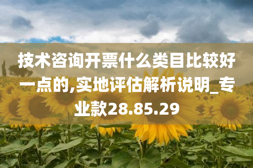 技术咨询开票什么类目比较好一点的,实地评估解析说明_专业款28.85.29