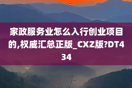 家政服务业怎么入行创业项目的,权威汇总正版_CXZ版?DT434