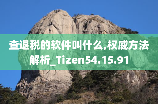 查退税的软件叫什么,权威方法解析_Tizen54.15.91